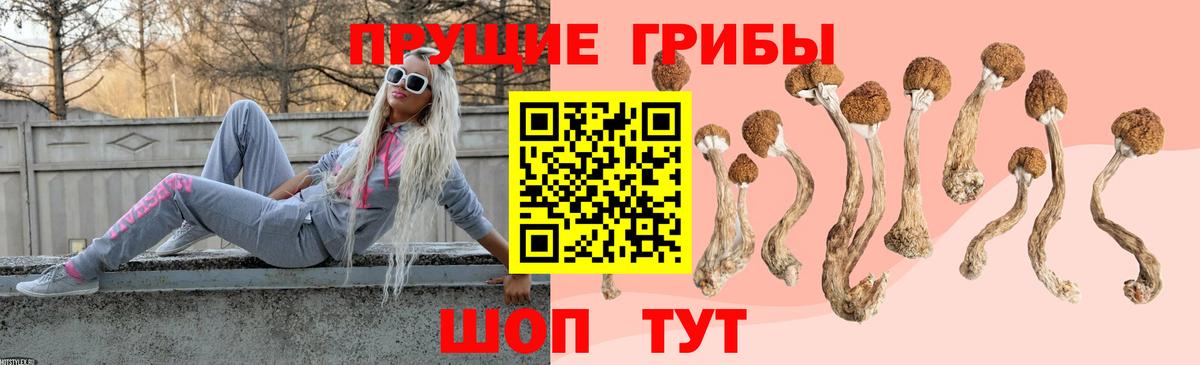 Псилоцибиновые грибы ЛСД  Вход с VPN  Гай 